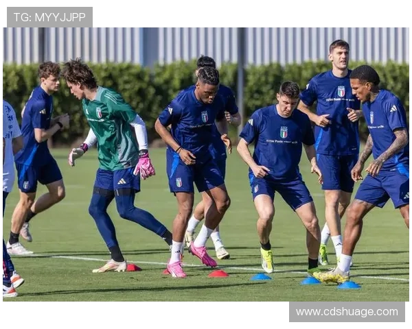 足球星天梯全面解析带你了解球员实力排名变化趋势